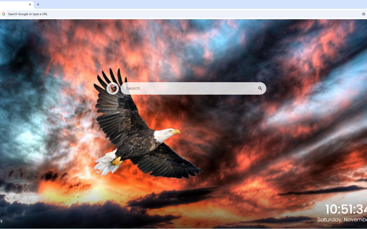 Eagle Wallpapers New Tab